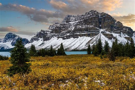 Фотография Канада Rocky Mountains Alberta Ель Горы Природа