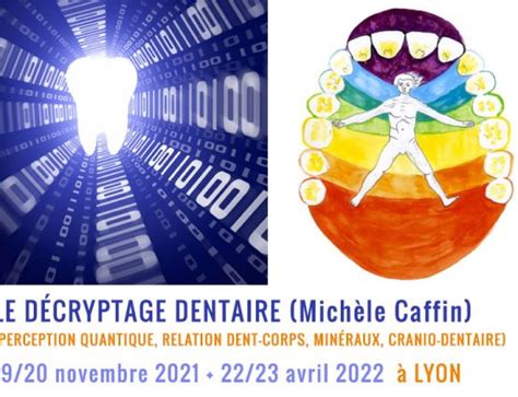 La Mastication Et Son Action Sur Les Fonctions Cognitives Mich Le Caffin D Cryptage Dentaire