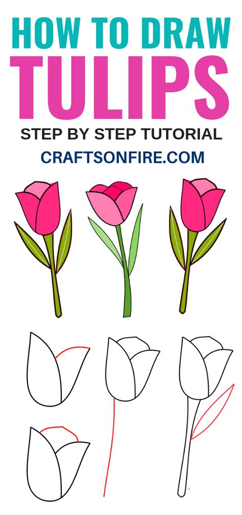 How To Draw A Tulip Easy At Drawing Tutorials