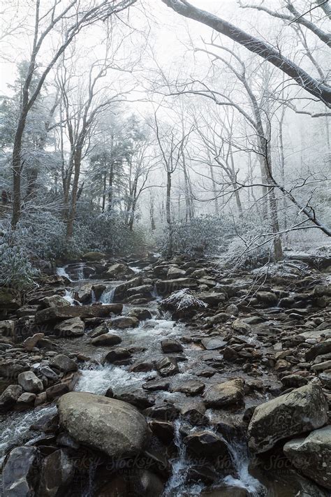 Foggy Mountain Stream By Stocksy Contributor Adam Nixon Stocksy