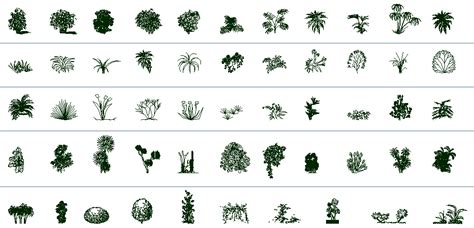 See more ideas about cad blocks, foliage, plants. Common tree and plant blocks details of garden dwg file ...