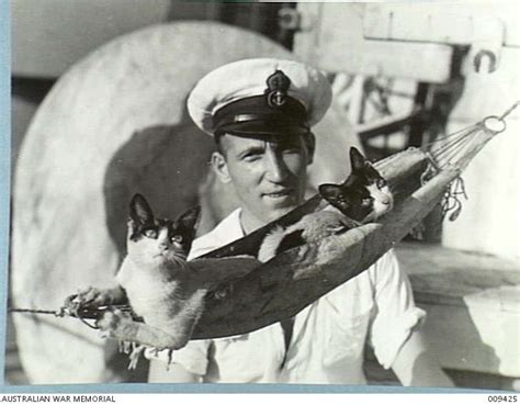 009425 Australian War Memorial Ships Cat Cat Photo War Dogs