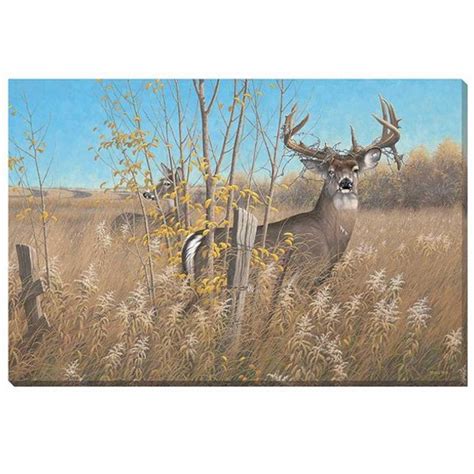 Whitetail Deer Canvas Art Wrapped The Old Warrior Wild Wings