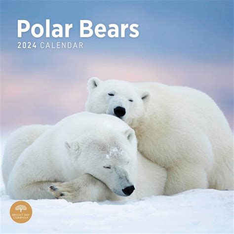 Polar Bears Calendar 2024 Calendars Store