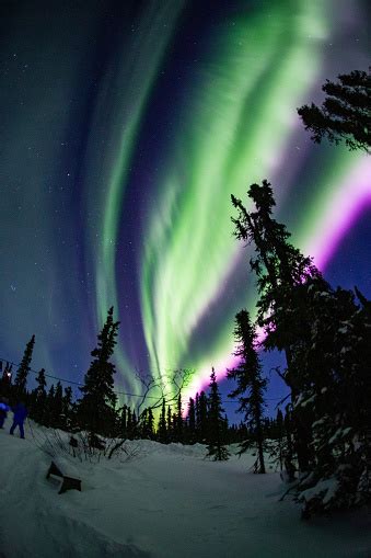 Beautiful Aurora In Fairbanks Alaska Stock Photo Download Image Now