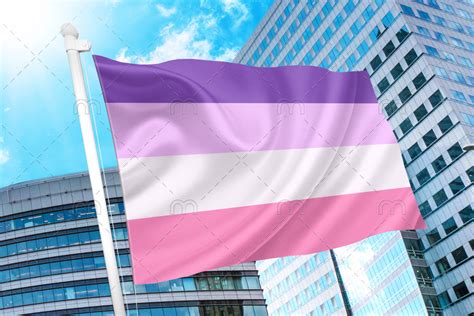 Femme Lesbian Pride Flag Official Store Pn2001 Asexual Flag™
