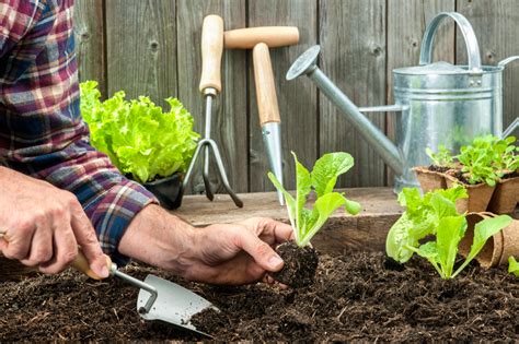 10 Must Have Garden Tools Blains Farm And Fleet Blog