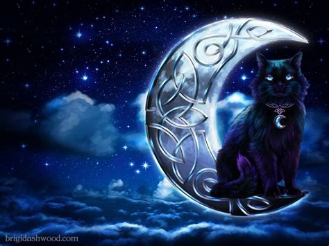 Cat And Moon Wallpapers Top Free Cat And Moon Backgrounds