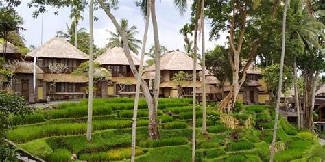 Kamandalu Resort Spa Ubud Bali Spa Rice Terraces Bali Hotels Tropical Forest Green
