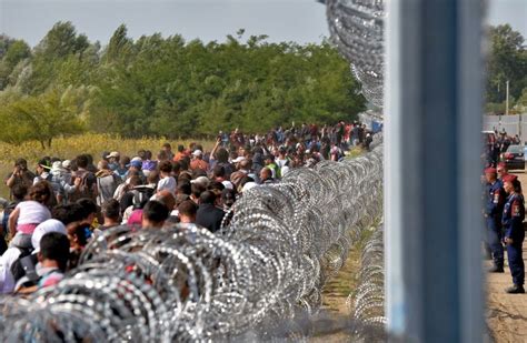Hungary Fencing Off Refugees Voice Of The Cape