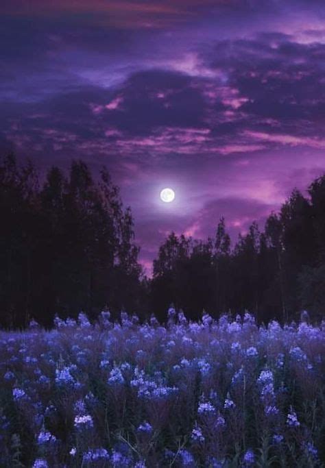 Lavender Moon Moon Photography Sky Moon Beautiful Moon