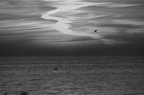 Black And White Sunset Photograph By Aimee L Maher Alm Gallery