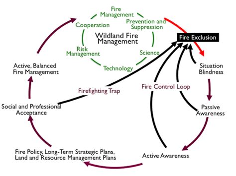 Improving Wildland Fire Management Strategies International
