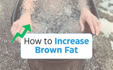 How To Increase Brown Fat Enhancing Your Metabolism