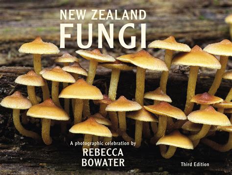 New Zealand Fungi 3rd Edition The Copypress
