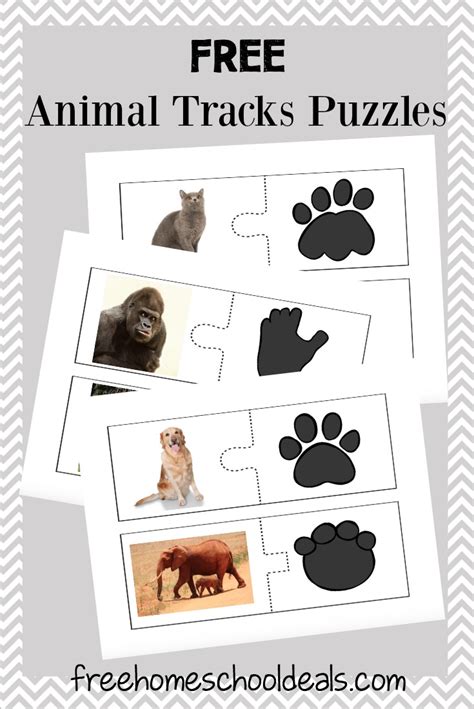 Download 97.760 tierspuren kostenlos vectors. FREE ANIMAL TRACKS PUZZLES (Instant Download!) | Free Homeschool Deals