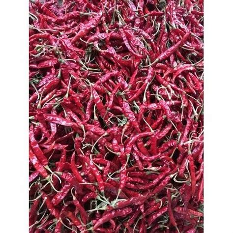 Whole Dry Red Chilli At Rs 145kilogram Dry Red Chili In Guntur Id