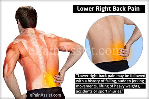 The back is the most complex major muscular structure in the entire body. Lower Right Back Pain|Causes|Symptoms|Treatment
