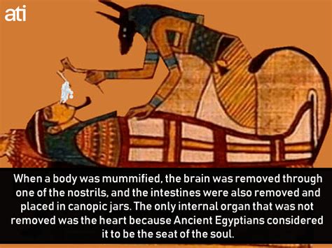 mummifying bodies in ancient egypt ancient egypt history ancient history facts ancient egypt