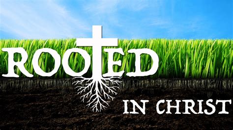 Rooted In Christ Exhortation To Steadfastness Pastor Stephen Ashmore