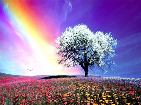 Download Rainbow Wallpaper Full Hd Search Rainbows By Erios22