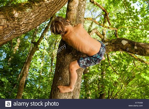 Page Boy Climbing Tree Barefoot High Resolution Stock Photography