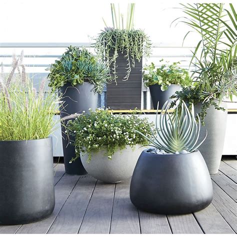 Review Of Best Large Plants For Outdoor Planters References