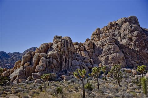 Rocks Of Joshua Tree California Free Stock Photo Public Domain Pictures