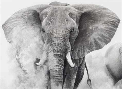 Elephant Sketch Drawing Erposanocomiendoyjugando