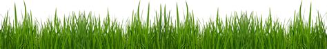 Grass Clip Art Free Free Clipart Images Clipartix Riset