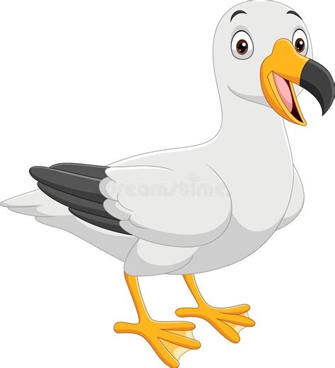 Cartoon Seagull Presenting On White Background Stock Vector
