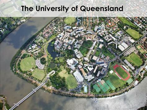 Ppt The University Of Queensland Powerpoint Presentation Free
