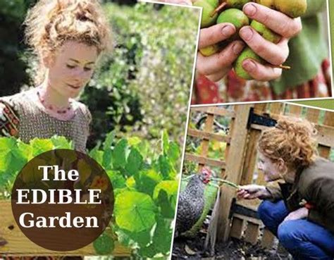 The Edible Garden With Alys Fowler ~ Watch All 6 Episodes Here Edible