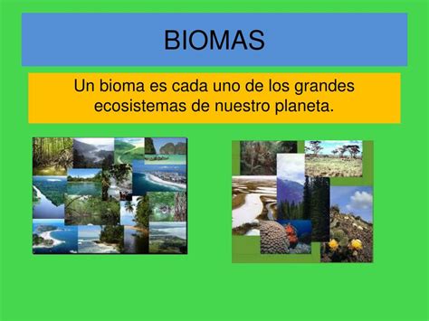 Que Son Los Biomas Informacion Y Caracteristicas Biologia Images