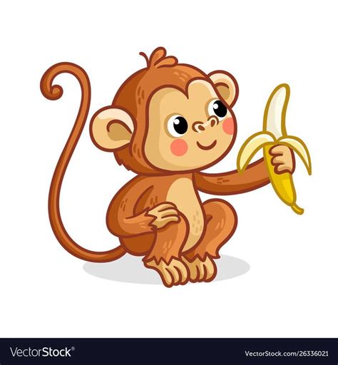 Monkey On A White Background Eats Banana Vector Image On Vectorstock