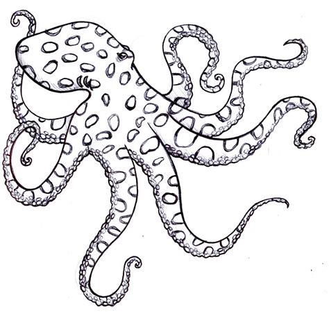 Simple Octopus Drawing At Getdrawings Free Download