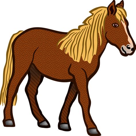 Kuda Satwa Peternakan Hewan Gambar Vektor Gratis Di Pixabay