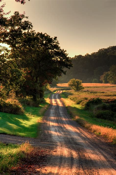 Country Road On Summer Dusk Summer Nature Photography Country