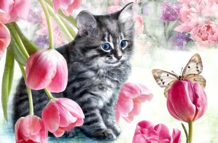 Cats and tulips is een onafhankelijke vereniging. Cat and Tulips F1C - Cats & Animals Background Wallpapers ...