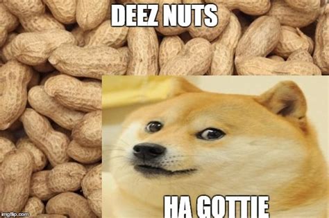 Deez Nuts Ha Gottie Get It The Nuts Deez Nuts Deez Nuts