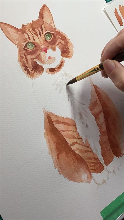 Inspirações De Aquarela Watercolor Cat Watercolor Paintings