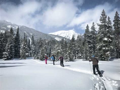 Grand Teton National Park 4 Hour Beginner Cross Country Ski Getyourguide