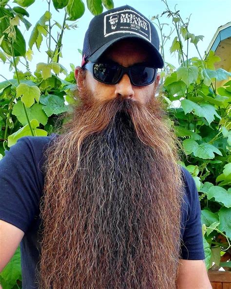 Beard Curation — Jamie In 2021 Beard Epic Beard Long Beards