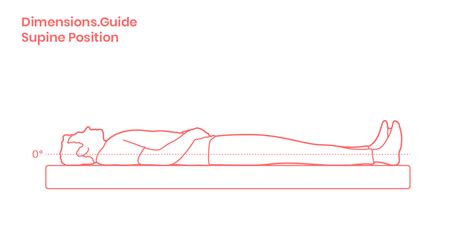 Supine Position Dimensions And Drawings