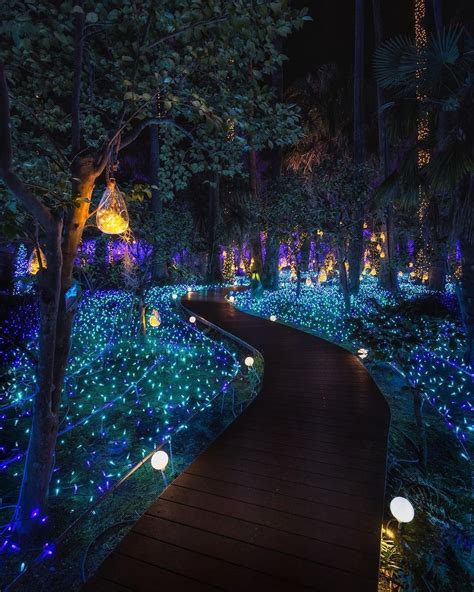 This Illuminated Pathway Looks Beautiful Would Love A Nice Evening