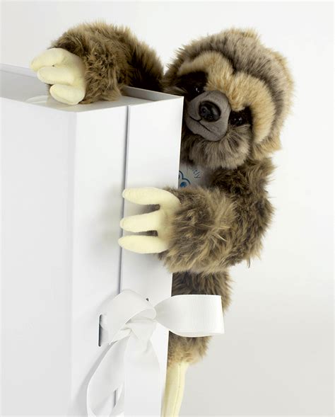 Splendid Sloth Soft Toy Cuddly Sloth T Idea Send A Cuddly