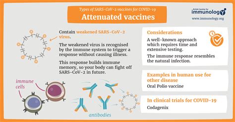 Types of vaccines for COVID-19 | British Society for Immunology