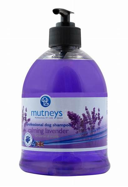 Shampoo Lavender Calming Aromatherapy Mutneys 500ml Dog