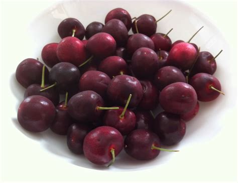 Cherries Sweet Or Sour The Flavors Are