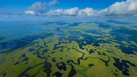 Aerial View Of Everglades National Park In Florida Myconfinedspace